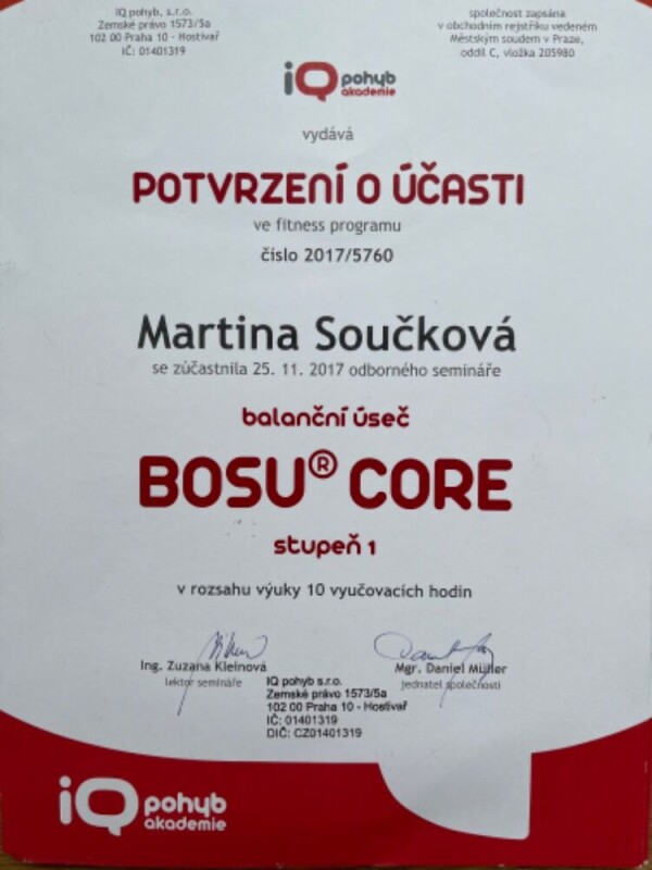 IQ BOSU
